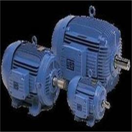 ��ѡweg���