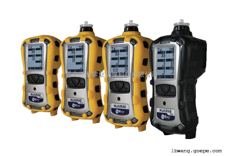 RAEЯʽһǽƷPGM-6208