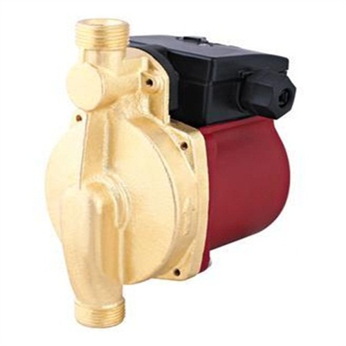 ����SP������