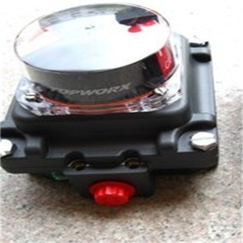 ��Ĭ��TOPWORX���� 