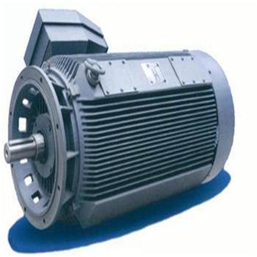 ����DUTCHI���