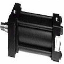 ����DUPLOMATIC������