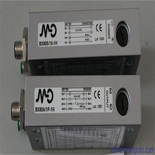 ԭװMICRO DETECTORS����