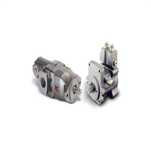 ����CASAPPA����