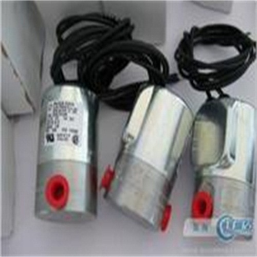 ȫ��Peter Paul������