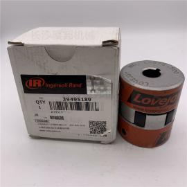  39495189 Ӣ������ ������