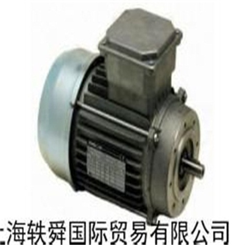 ȫ��BISON����