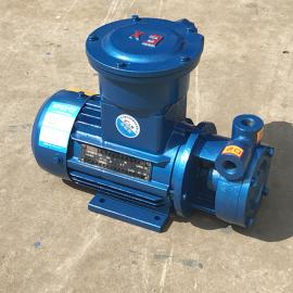 12.5-12旋涡泵单级直联高压水泵 1寸锅炉补水泵漩涡泵W