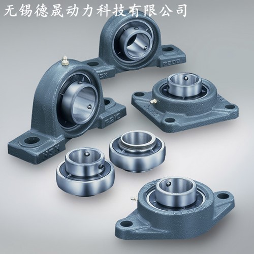 NSKֻUC213D1