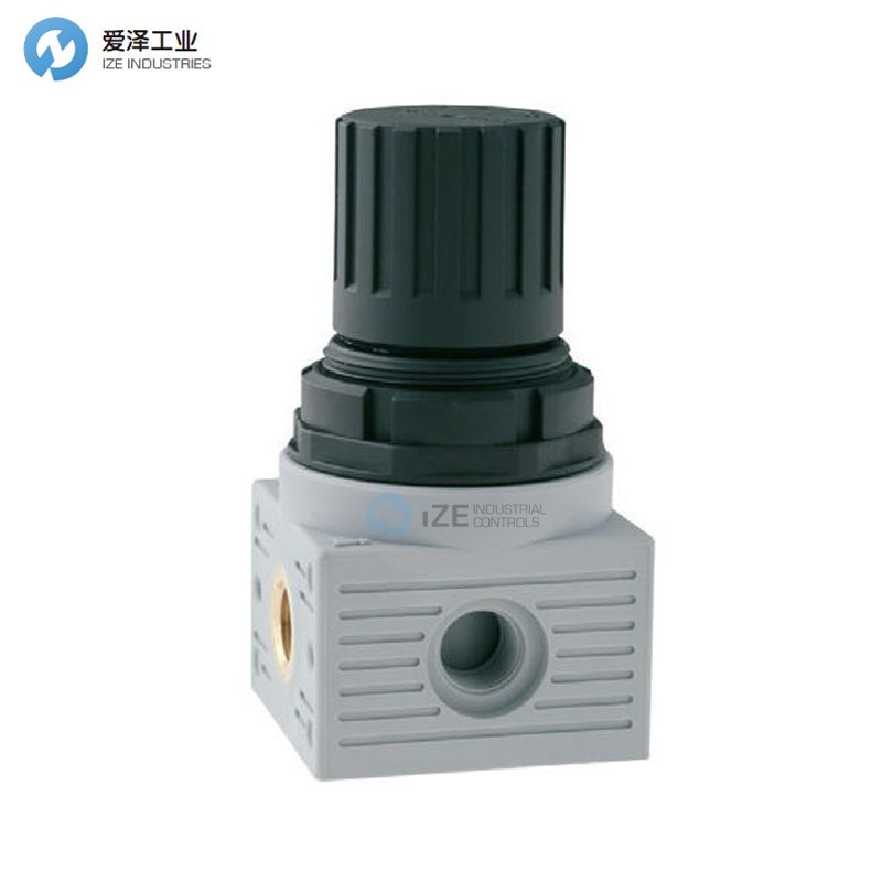 AIGNEP调节器T020003030000