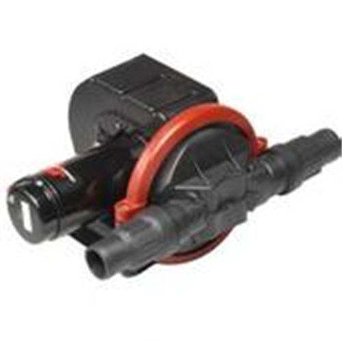 ����VIKING���ֱ�