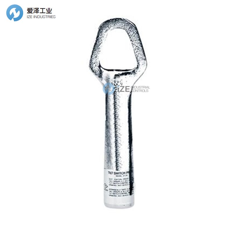 THERMO RAMSEY传感器20-39B