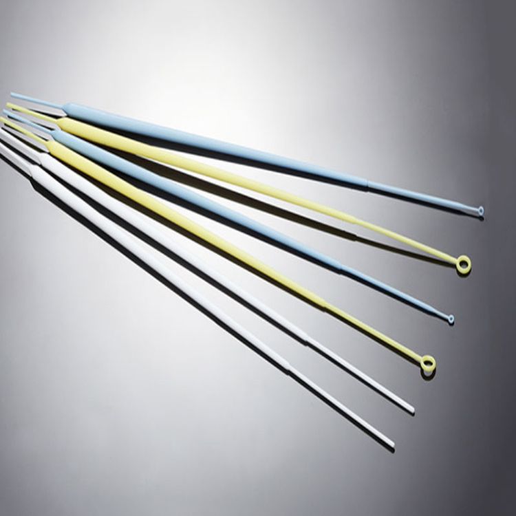 洁特生物实验室 耗 材 接种环与接种针