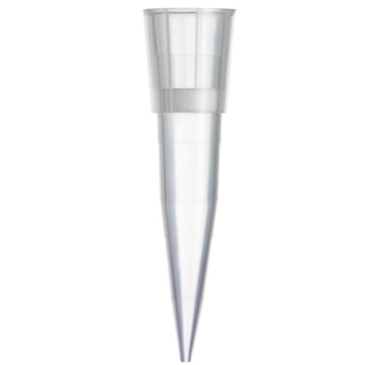 Ĭ Beckman Һ崦ϵͳԶͷ ȫ