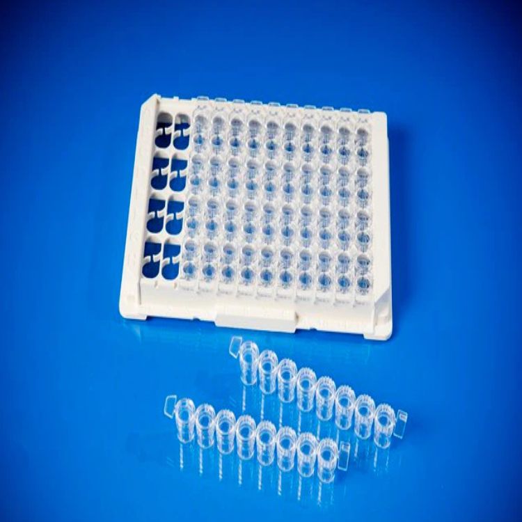 ĬImmuno ɫ 96 װȫͺ