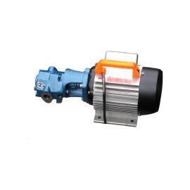 输油泵 手提式微型电动油泵S型