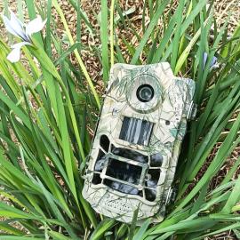 保护区野外监测相机