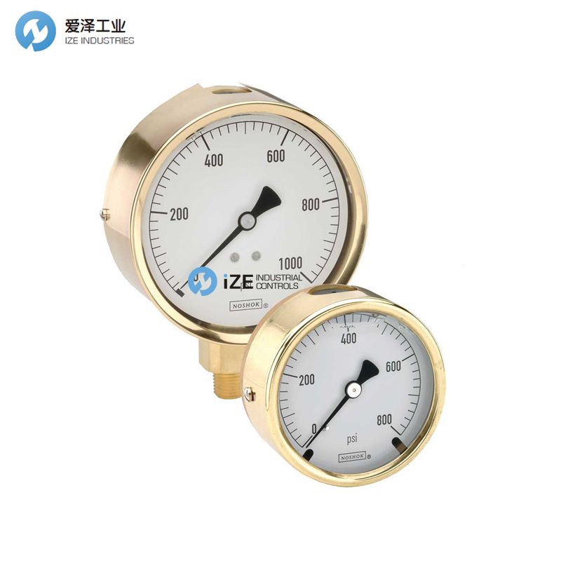 NOSHOKѹ����300ϵ��25-310-30-CBU