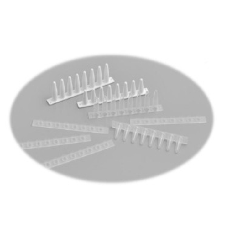 Bioland ʵ EWPCR8ȫͺ