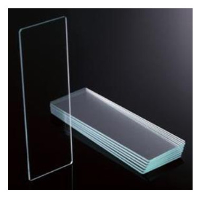 Bioland ʵ ĥɰزƬȫͺ