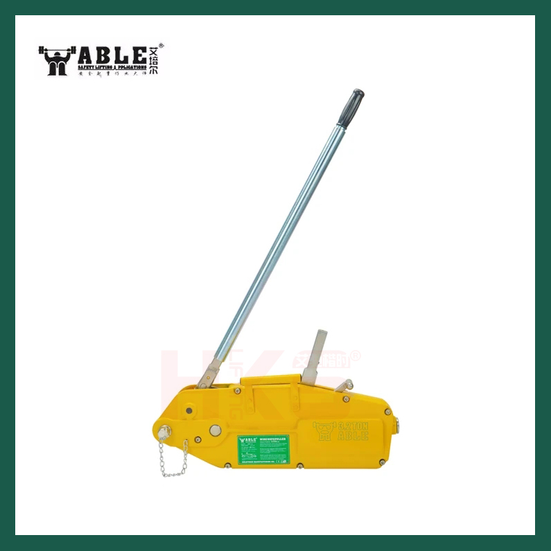 WRP˿ְ« ˿ǣѡABLE
