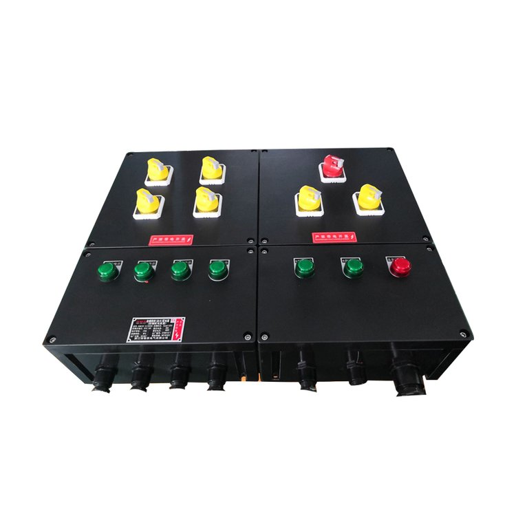  乤BXM8050-100A-(32)A-M2-8M1-1/2-IP55-WF1-DIPA22T4-˼