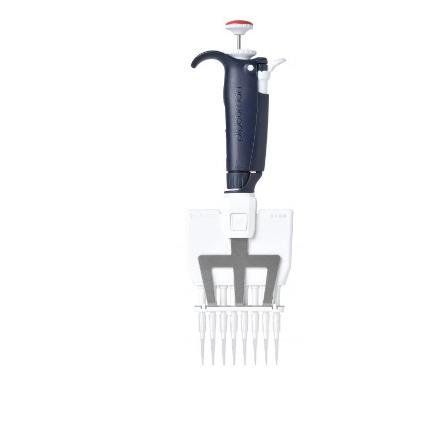 ɭGilsonPIPETMAN P8X10Lֶ˵Һ0.5-10ul