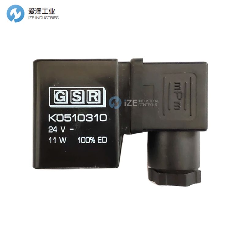 GSR��ŷ���Ȧ.248(K0592410)