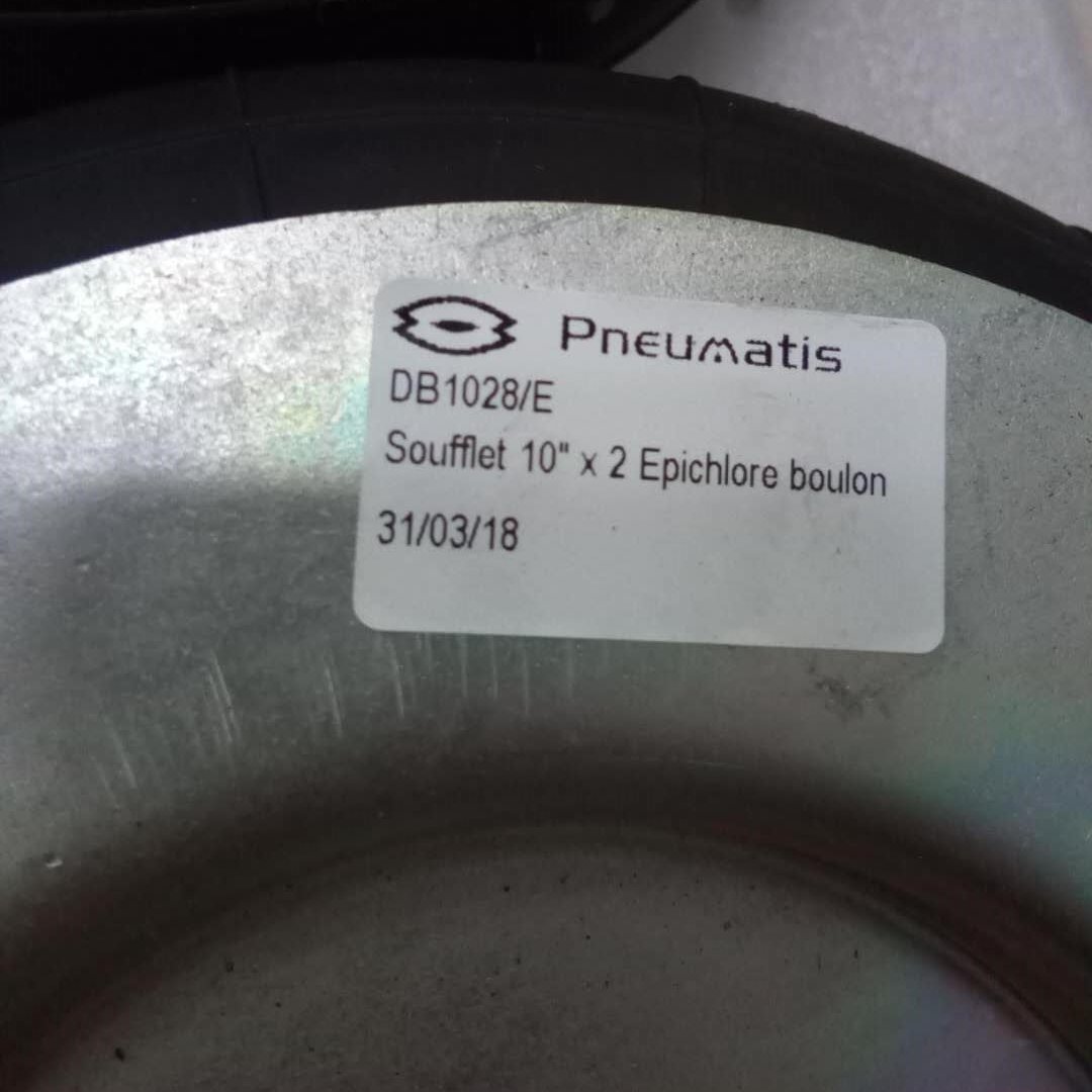 Pneumatisҵ
