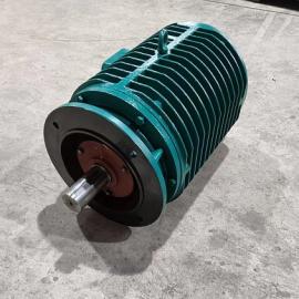 ygp系列辊道变频电机