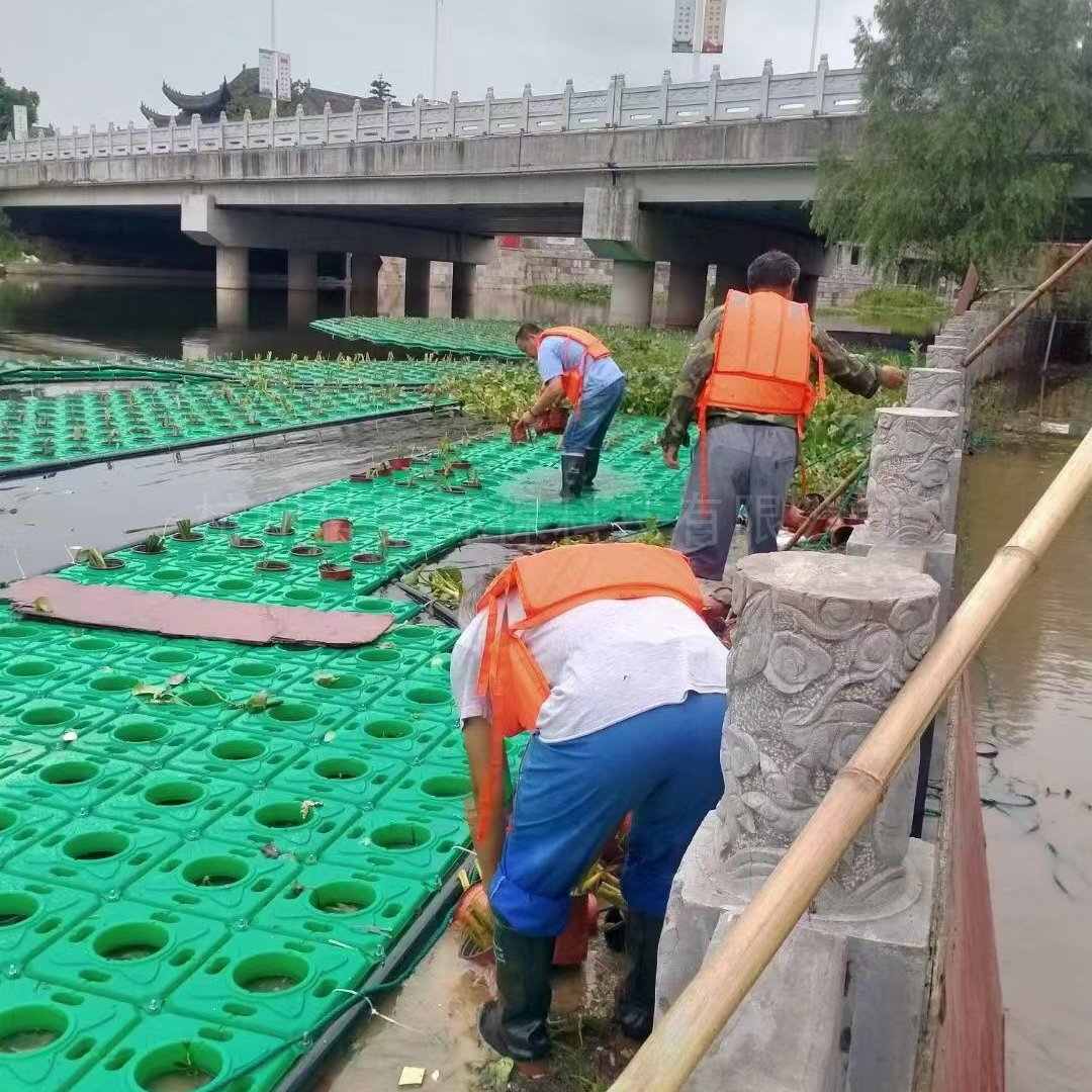 梓景人工浮岛浮动湿地
