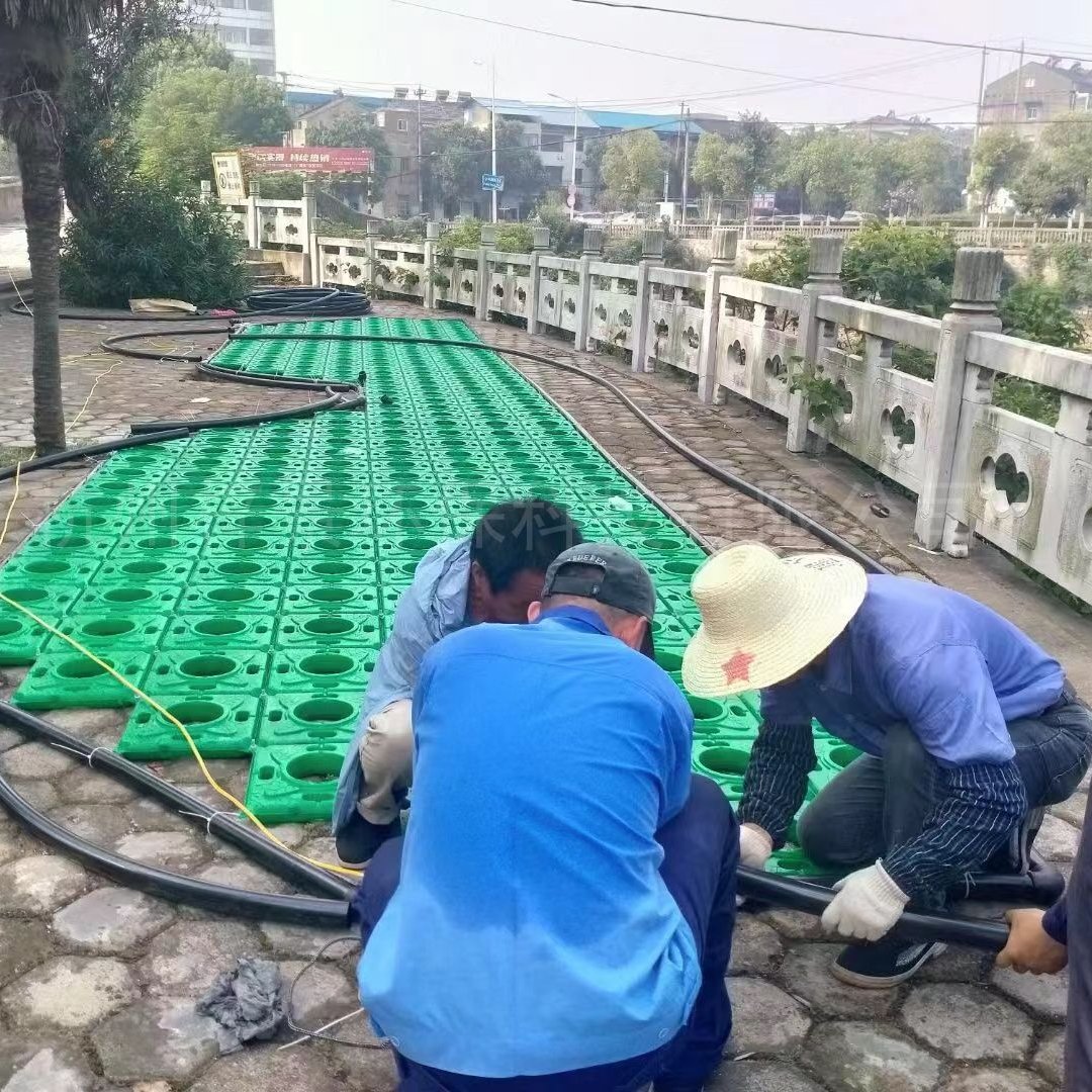 梓景人工浮岛浮动湿地