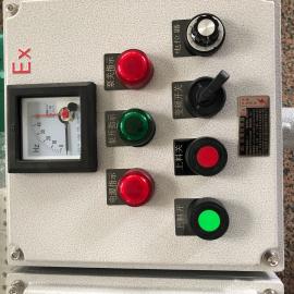 防爆控制箱带仪表显示BXK-TLM