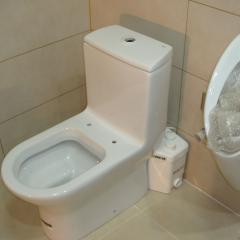 点击查看大图片