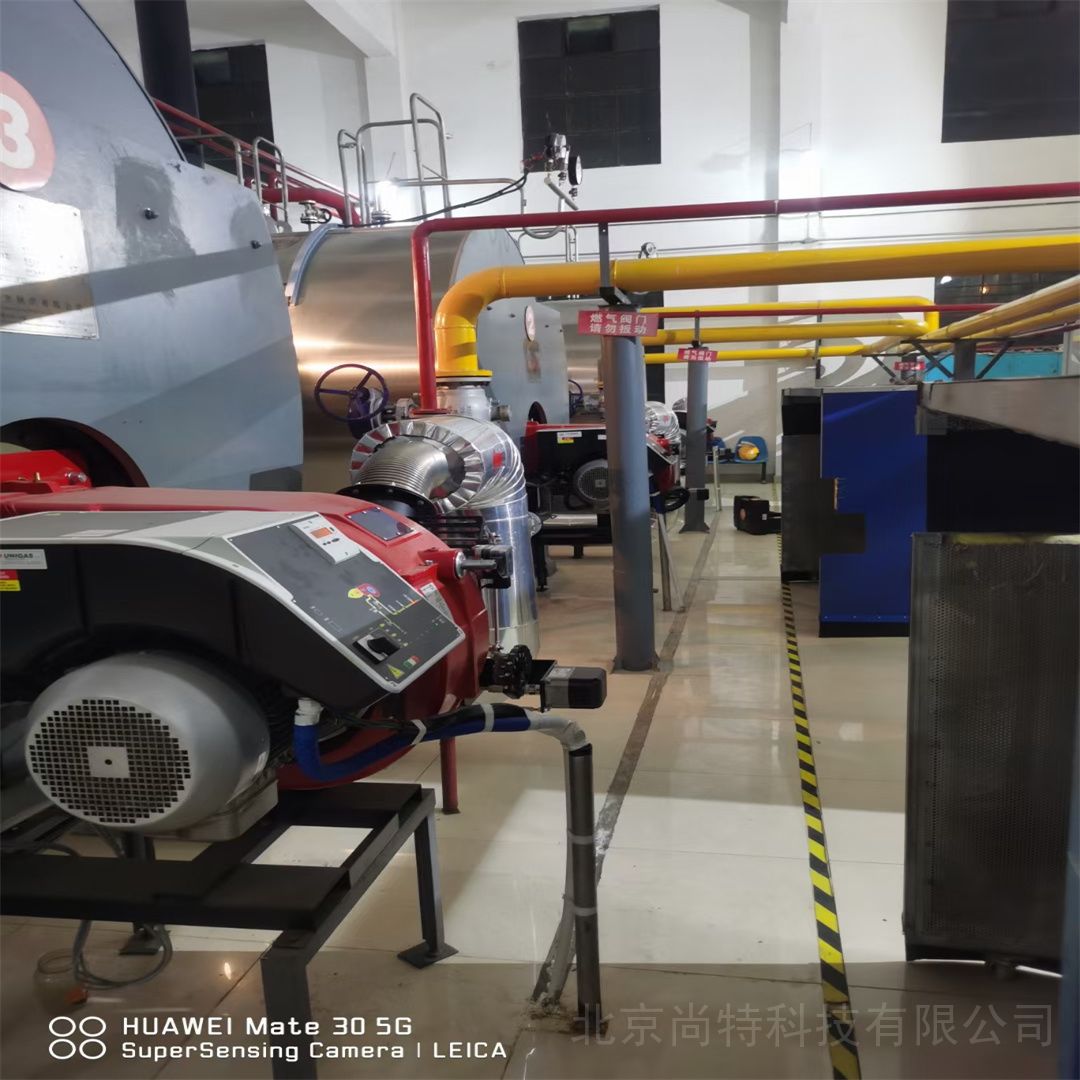 進口品牌真空燃氣鍋爐低氮改造