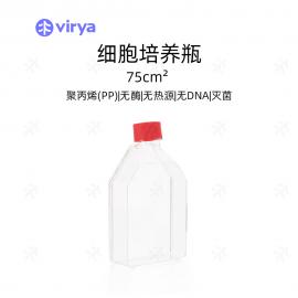  75cm2 透明色�胞培�B瓶 �t色透�馍w Virya3520756