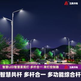智慧路灯建设项目 一体化灯杆 道路交通信号灯杆FT029