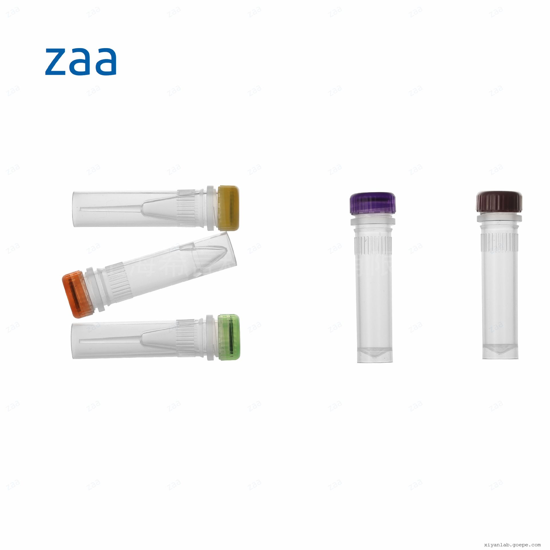 ZAA øԴOȦ оݿڹܸ Զ 2112004