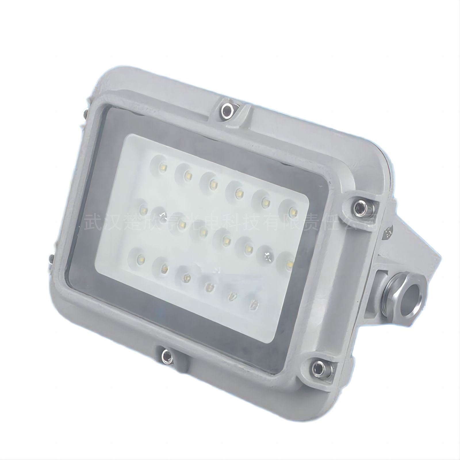 ǻKLE1012 50WLEDIP67 LED ɫ LED GMD8310-50W 220V