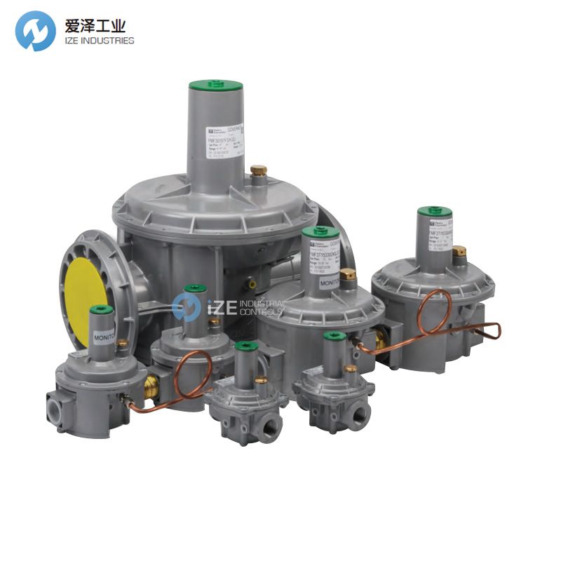 PIETRO FIORENTINIȼ����ѹ��FMF301640007AB