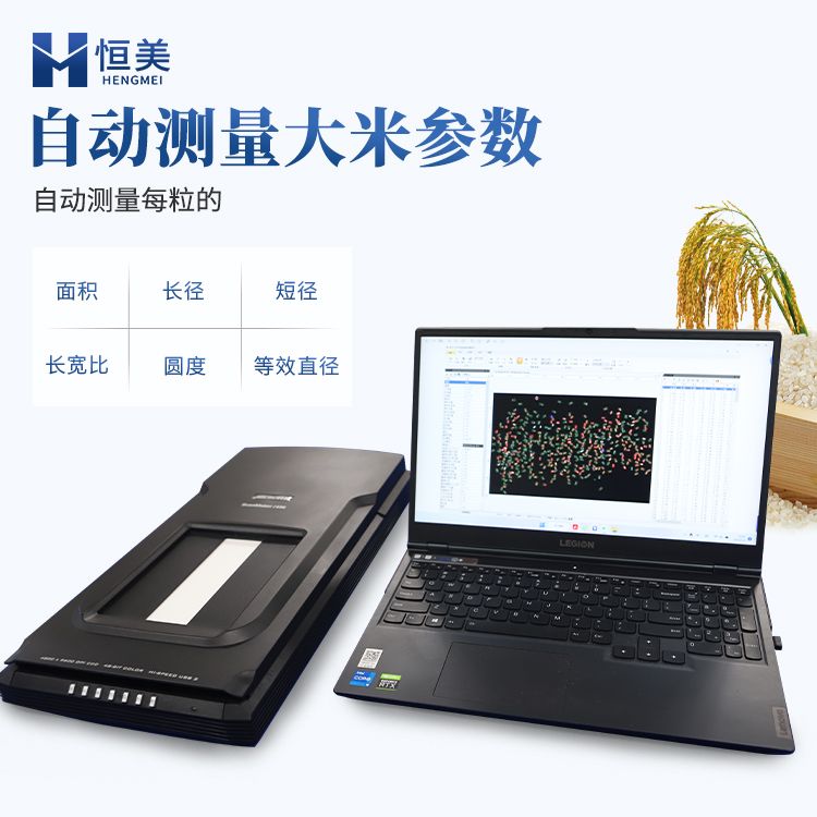 恒美大米外观品质检测仪 HM-DM01