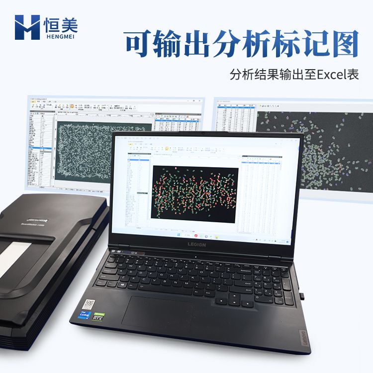 恒美大米外观品质检测仪 HM-DM01