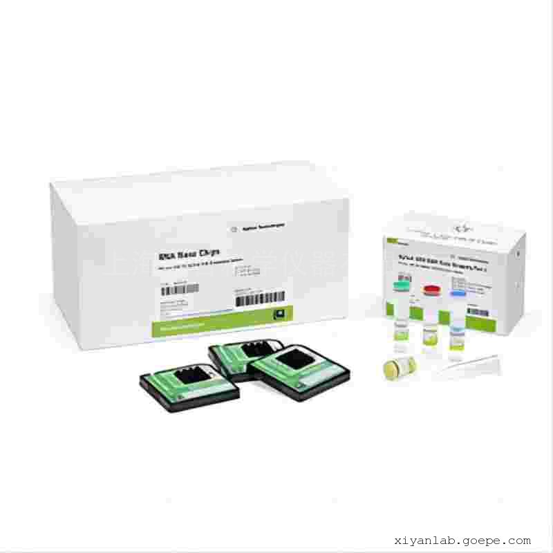 Agilent5067-1511 RNA 6000 Nano Լ