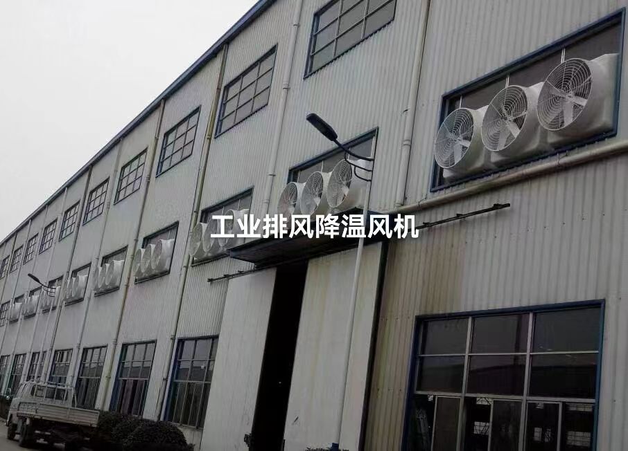 ҵŷ罵· 