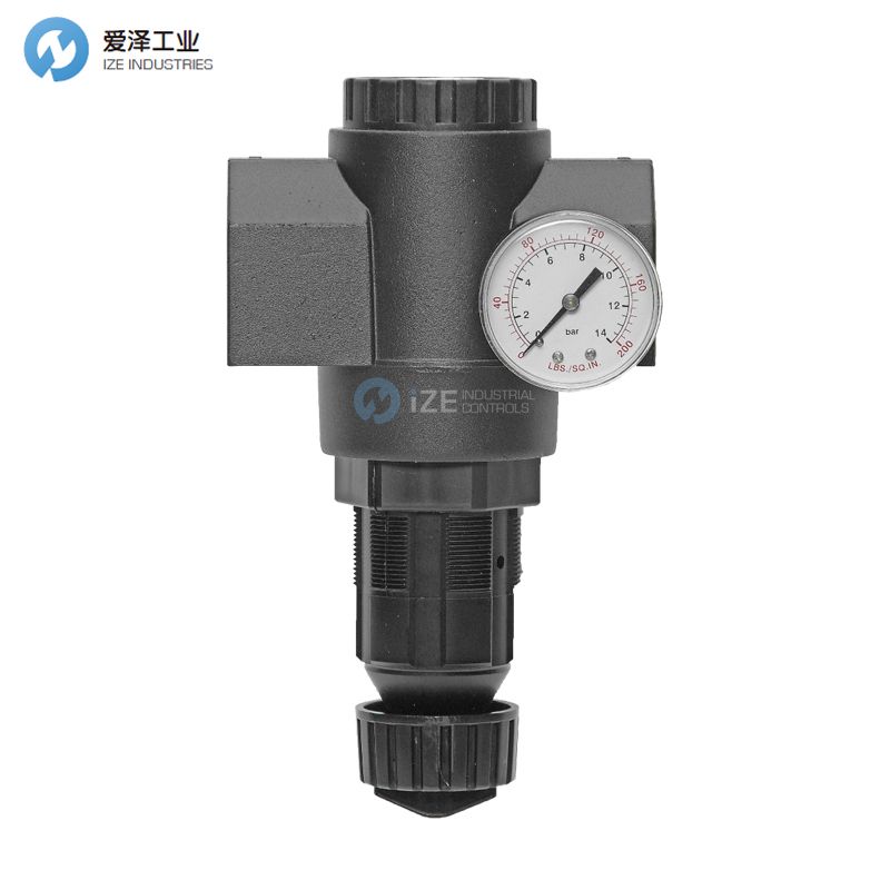 MASTER PNEUMATIC调节器R180-12H