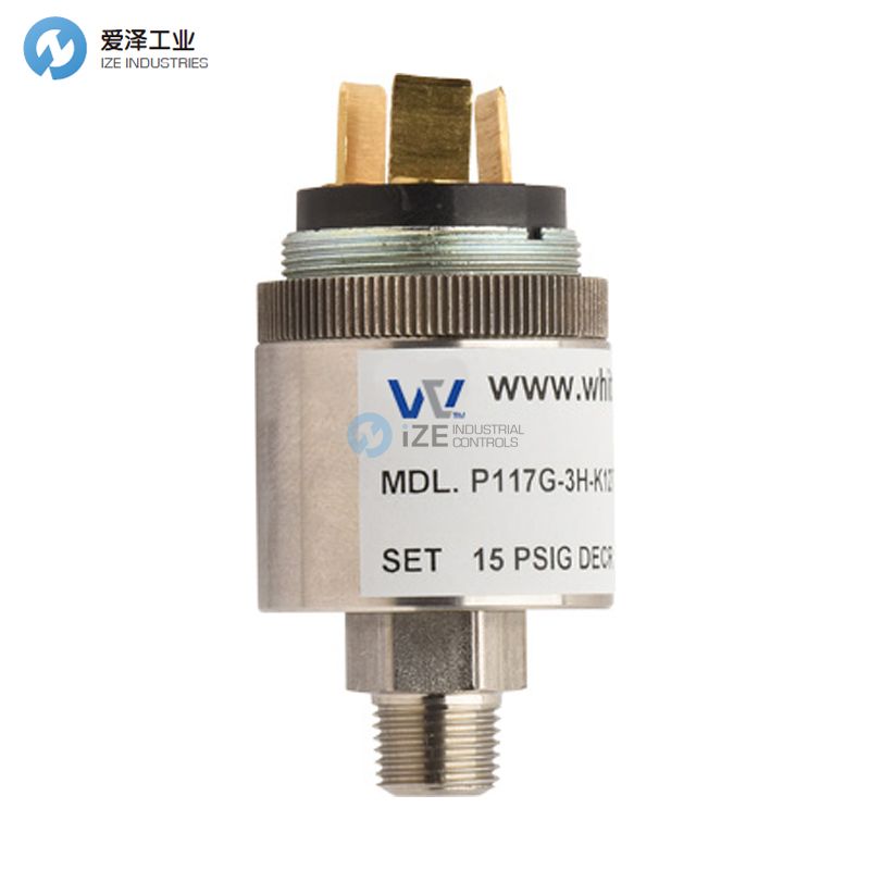 WHITMAN CONTROLSѹP117G-10H-K11L-X30427