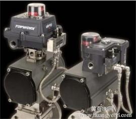 TOPWORX��λ������