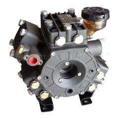 点击查看大图片