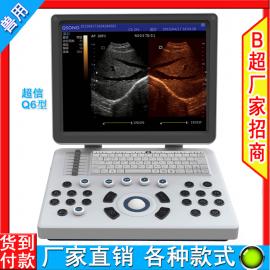 ���Ž�ѧ�����߲ʳ���̨ʽ�ʳ�������B����A5