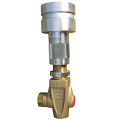 点击查看大图片